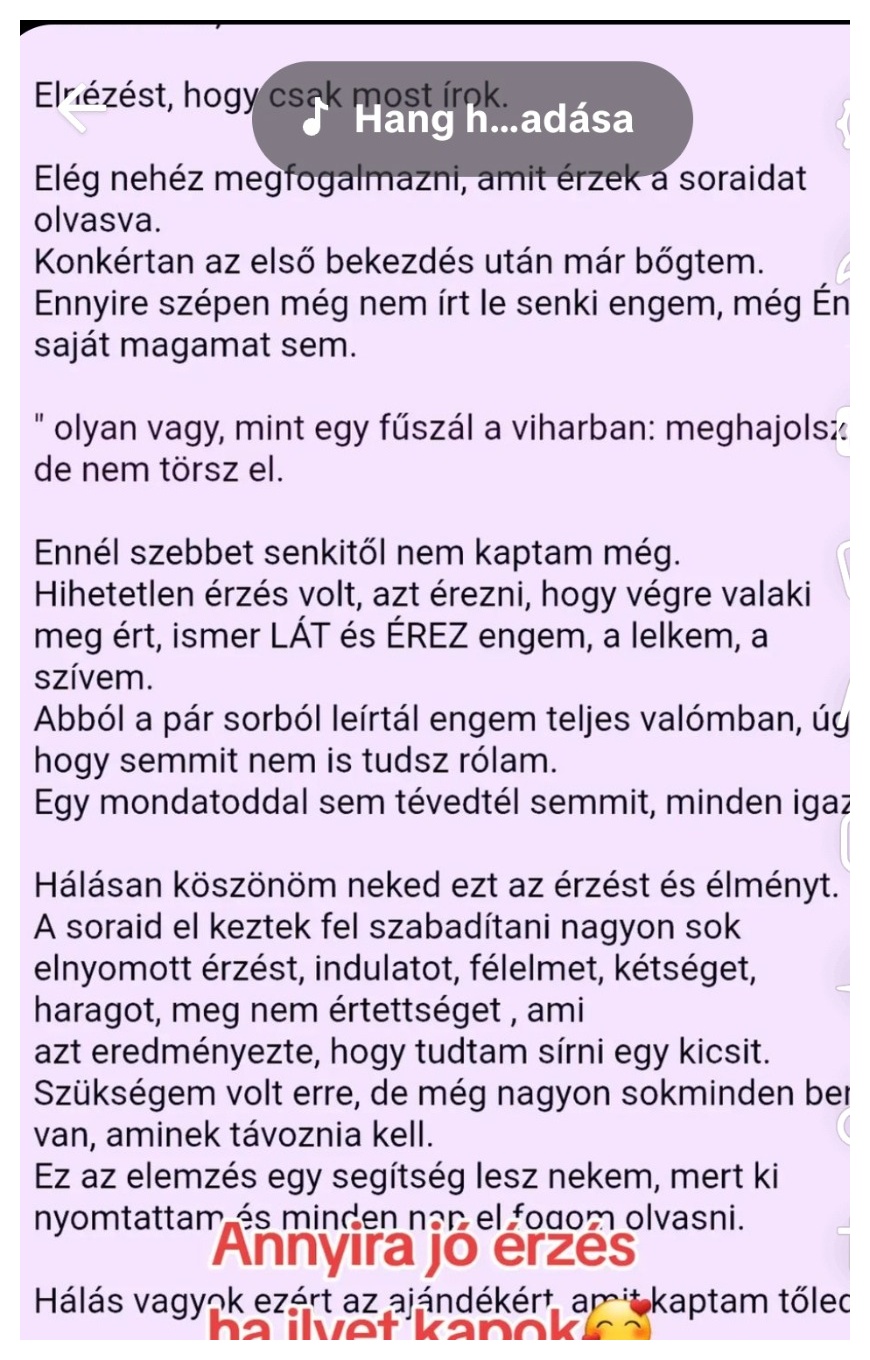 Vendégvélemény